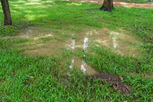 Cost of Storm Water Drainage Service in Laurel
