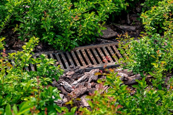 Cost of Underground Drainage Service in Laurel