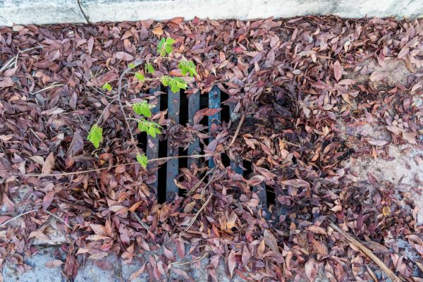 Cost of Yard Drain Unclogging in Laurel