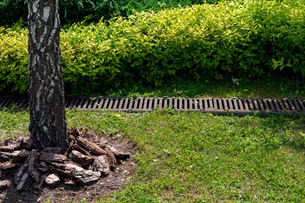 Cost of Yard Water Redirection in Laurel