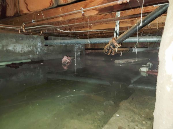 Cost of Crawlspace Drainage in Laurel