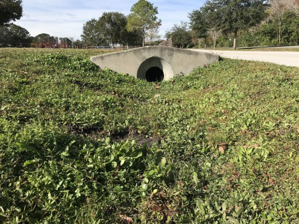 Cost of Swale Drainage Service in Laurel